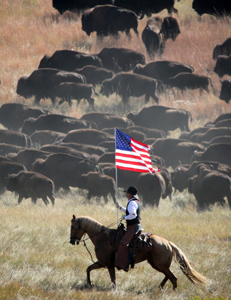 buffalo flag 2015